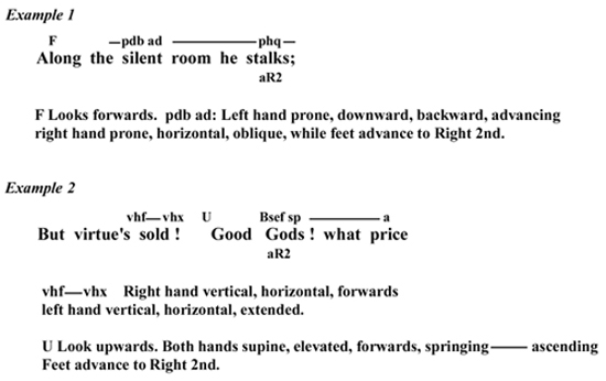 Chironomia Examples